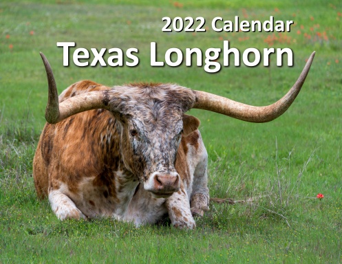Texas Longhorn 2022 Calendar