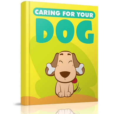 Caring For Your Dog