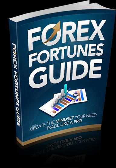Forex furtunes guide