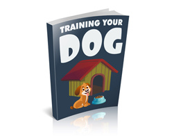 HOW TO TRAIN YOUR DOG AT HOME