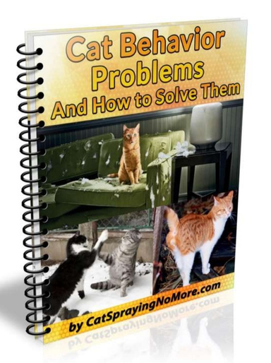 Cat Behavior Problems &  How to Solve Them