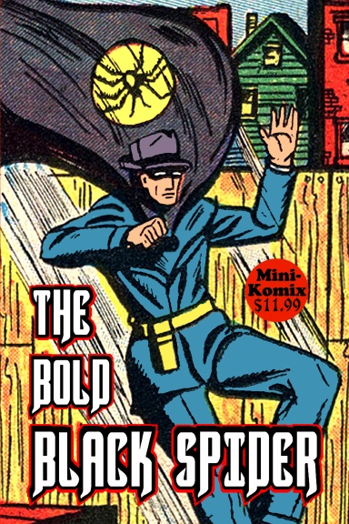 The Bold Black Spider