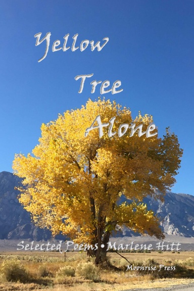 Yellow Tree Alone