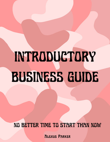 Introductory Business Guide
