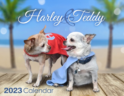 Harley & Teddy Calendar 2023