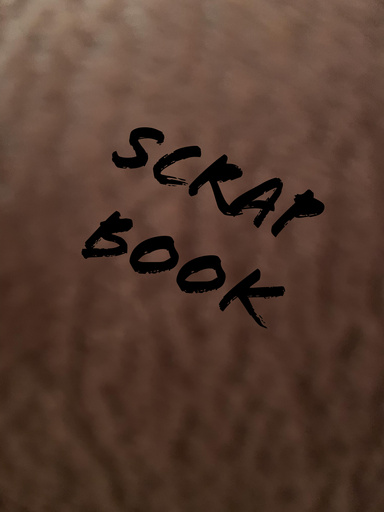 Scrap book