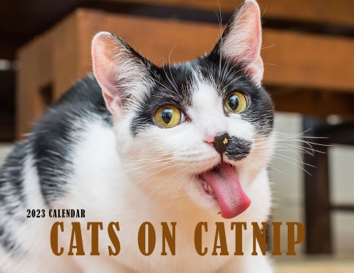 2023-cats-on-catnip-calendar