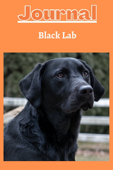 Black lab dog Journal series 1 with a orange background