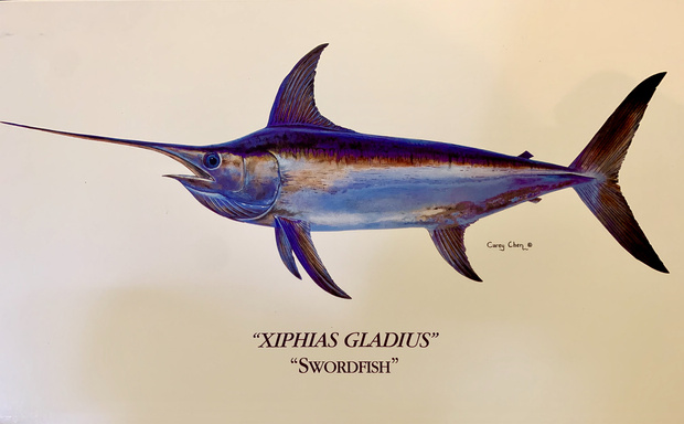 Xiphias gladius - The Fish of My Lifetime... a short story by Michael  Fowlkes