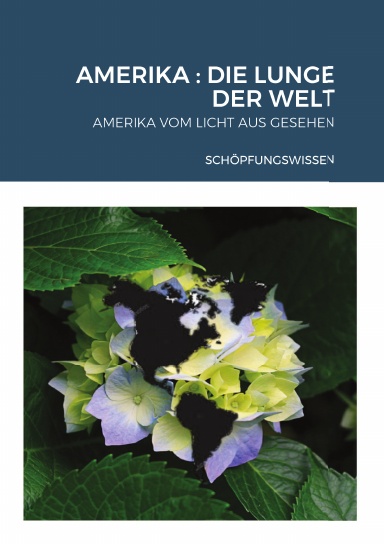 AMERIKA : DIE LUNGE DER WELT