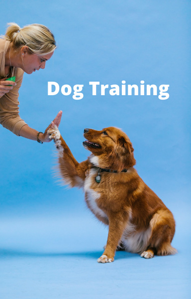Dog Trainining