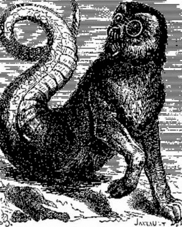 Aamon: A Universal Novel