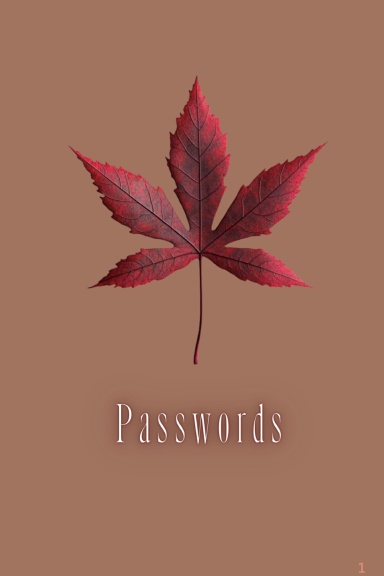 Password Manager Journal - Keep Your Logins Safe