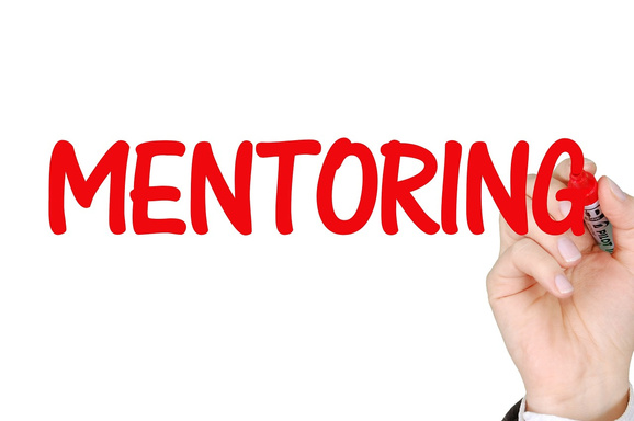 start nonprofit mentoring program