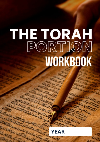 The Torah Portion Workbook