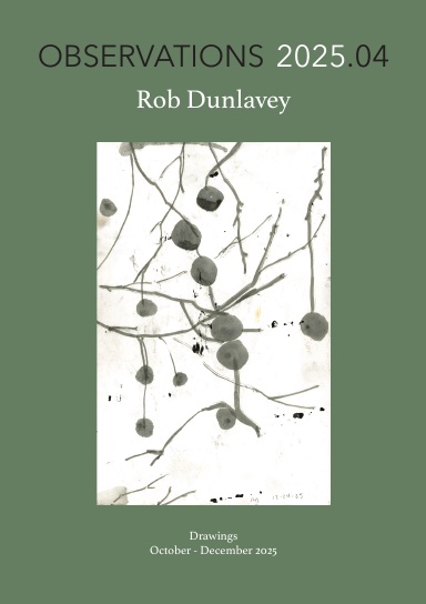 OBSERVATIONS 2025.04