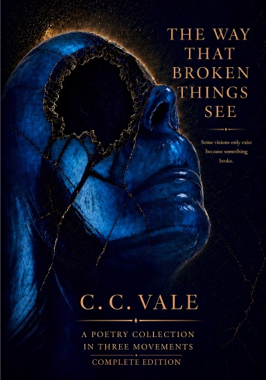 The Way that Broken Things See