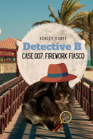 Detective B: Case 007: Firework Fiasco