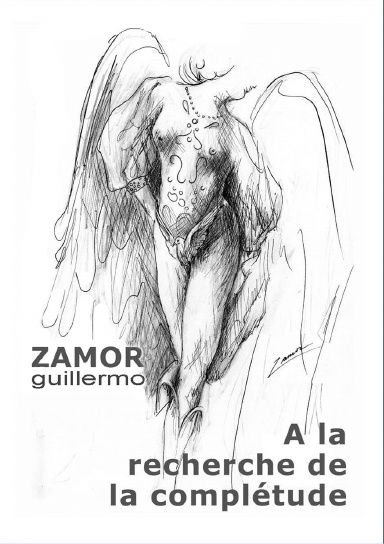 A la recherche de la complétude