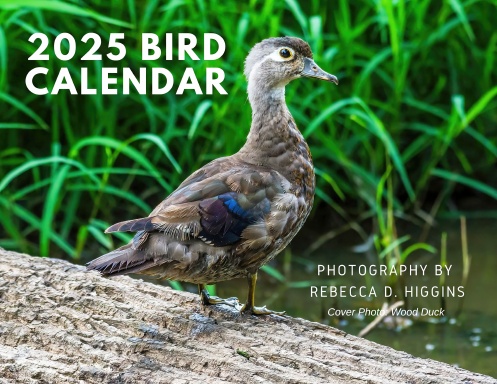 2025 Bird Calendar