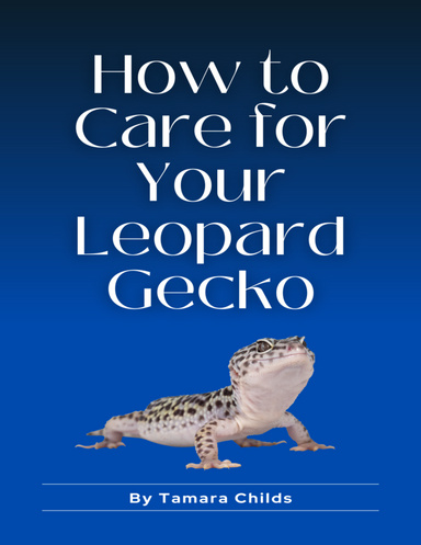How to Care for Your Leopard Gecko