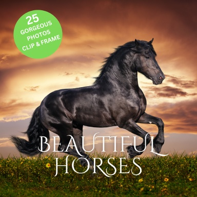 Beautiful Horses
