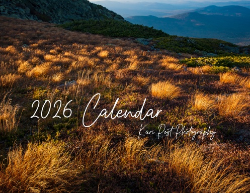 2026 Calendar