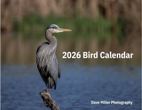 2026 Bird Calendar