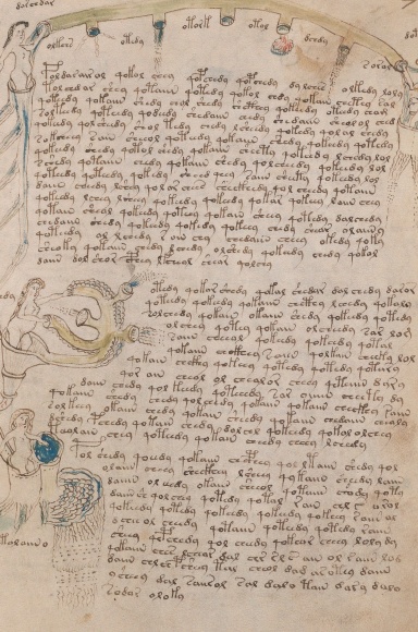 Notebook - 4: Voynich Series