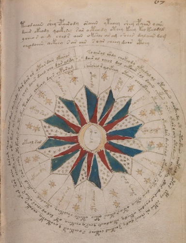 Notebook - 2 (us letter size): Voynich Series