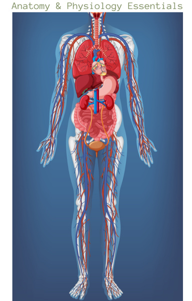 Anatomy and physiology Essentials