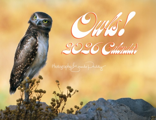 OWLS ~ 2026 Calendar