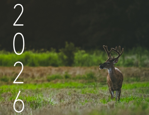 2026 Calendar