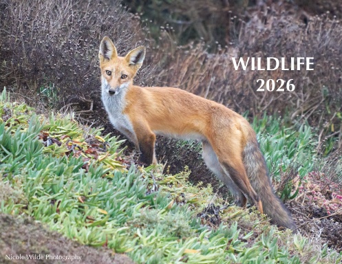 2026 Wildlife Calendar
