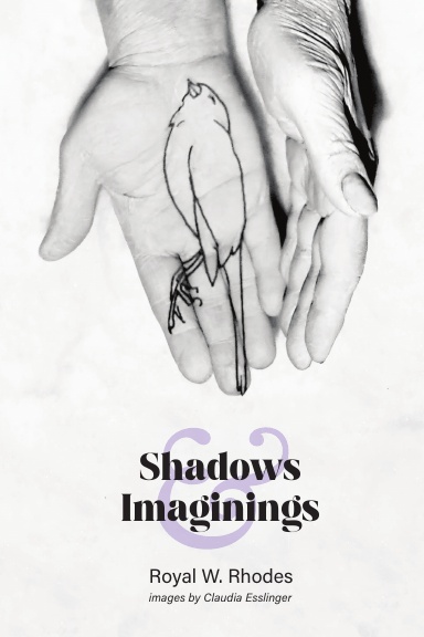 Shadows and Imaginings
