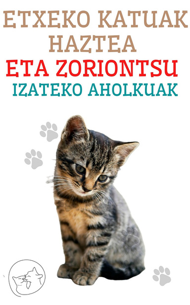 Etxeko Katuak Haztea eta Zoriontsu Izateko Aholkuak