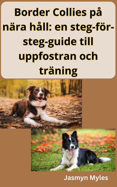 Border Collies på nära håll: en steg-för-steg-guide till uppfostran och träning