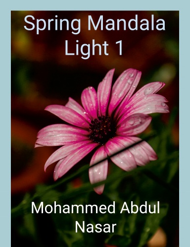 Spring Mandala Light - 1