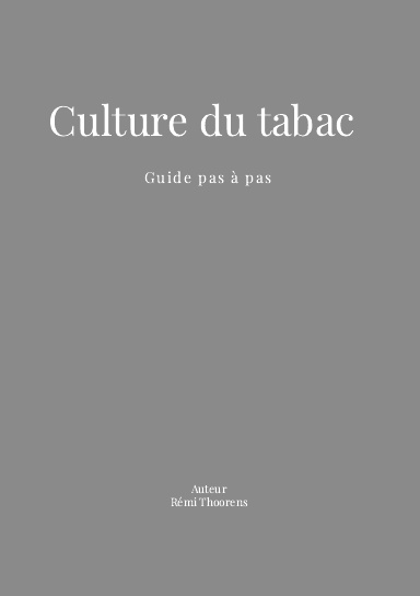Culture du tabac