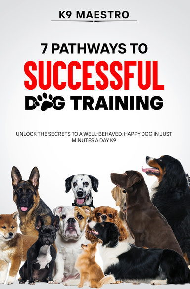 7 Pathways to Successful Dog Training