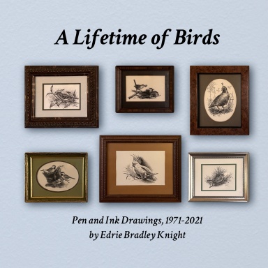 A Lifetime of Birds