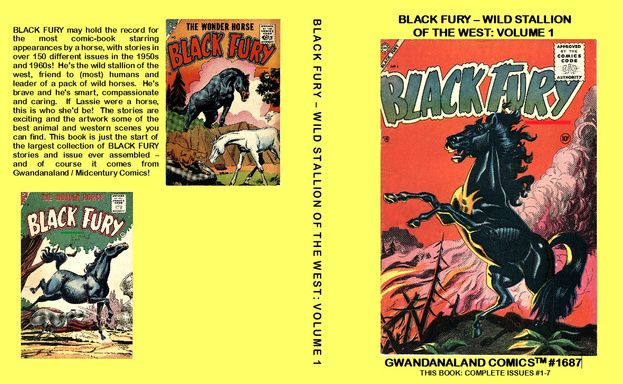 Black Fury - Wild Stallion Of The West: Volume 1 (E)