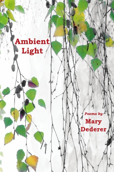 Ambient Light