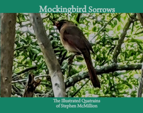 Mockingbird Sorrows