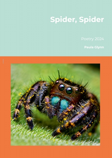Spider, Spider Poetry 2024