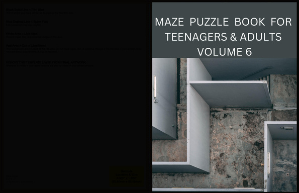 MAZE PUZZLE BOOK FOR TEENAGERS AND ADULTS  VOLUME 6