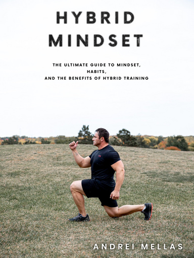 Hybrid Mindset