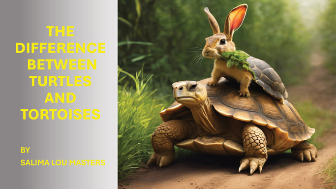 THE DIFFERENCE BETWEEN TURTLES AND TORTOISES