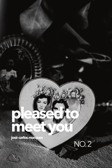 Pleased to Meet You NO. 2