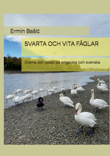 SVARTA OCH VITA FÅGLAR